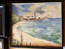 Beach Scene looking North